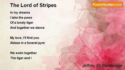 Jeffrey McCambridge - The Lord of Stripes