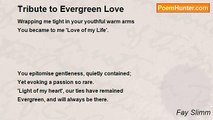Fay Slimm - Tribute to Evergreen Love