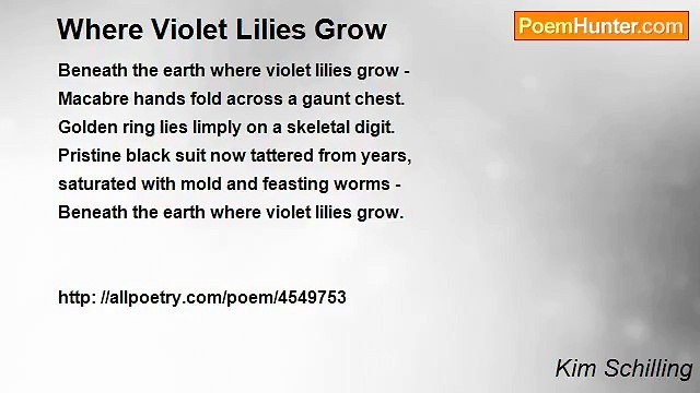 Kim Schilling - Where Violet Lilies Grow