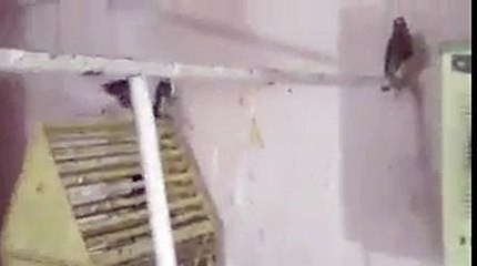 Baaz waheguru bolda hoea