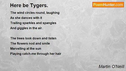 Martin O'Neill - Here be Tygers.