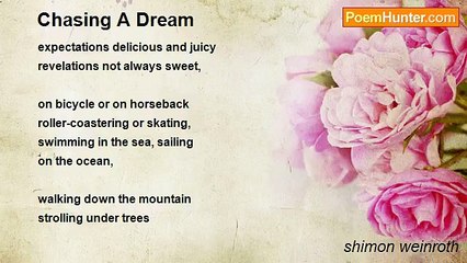 shimon weinroth - Chasing A Dream
