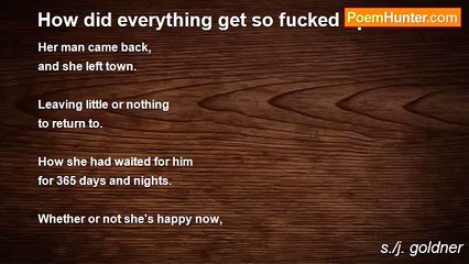 s./j. goldner - How did everything get so fucked up