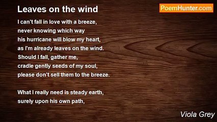 Viola Grey - Leaves on the wind