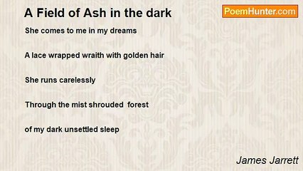 James Jarrett - A Field of Ash in the dark