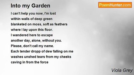 Viola Grey - Into my Garden