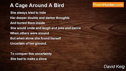 David Keig - A Cage Around A Bird