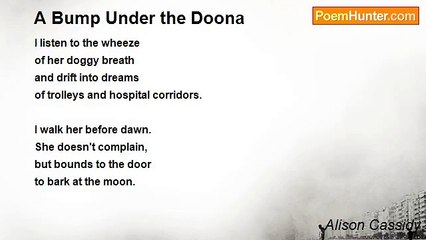 Alison Cassidy - A Bump Under the Doona