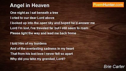 Brie Carter - Angel in Heaven