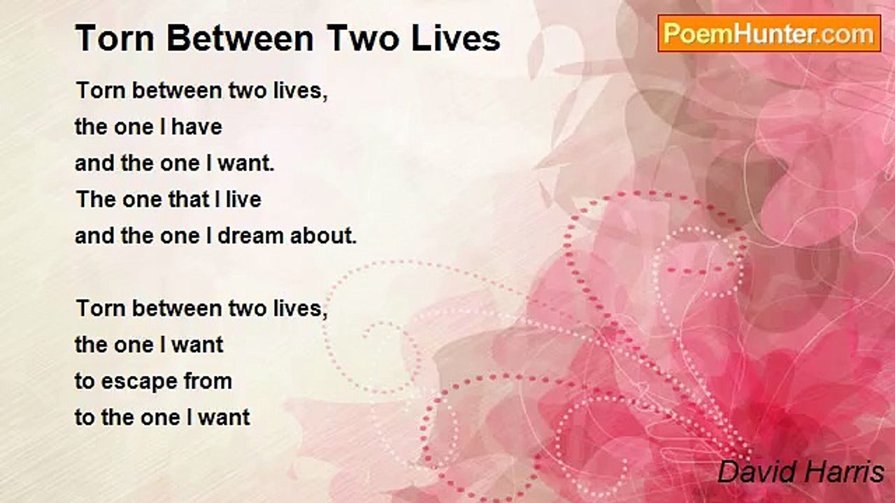 David Harris - Torn Between Two Lives