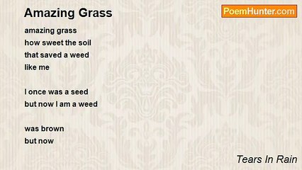 Tears In Rain - Amazing Grass