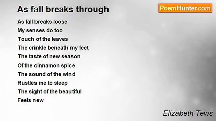 Elizabeth Tews - As fall breaks through