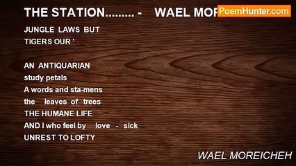 WAEL MOREICHEH - THE STATION......... -    WAEL MOREICHEH