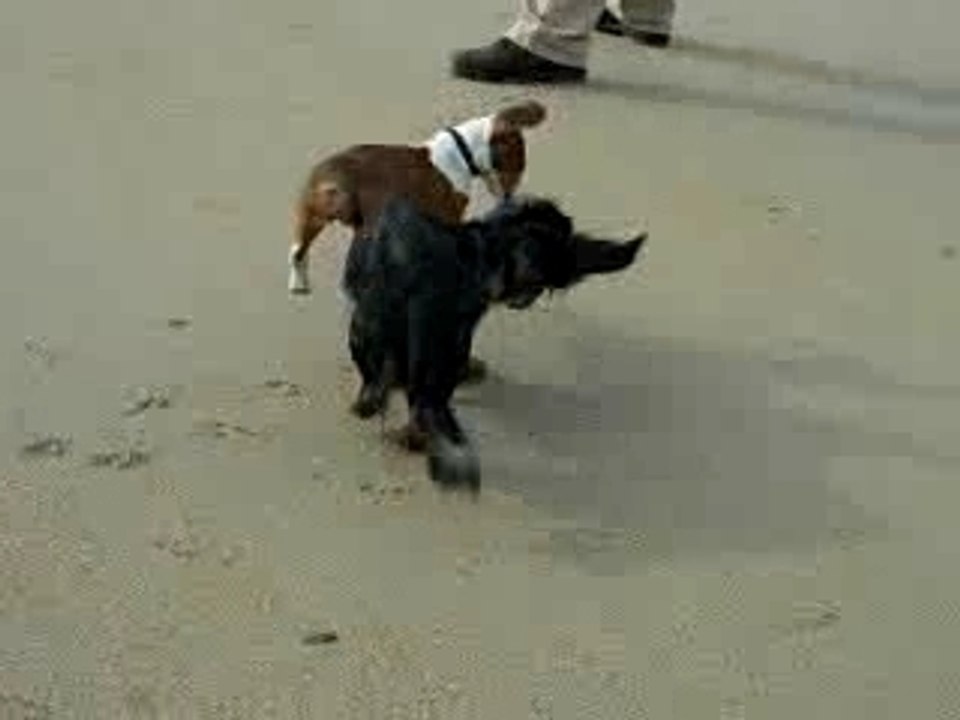 Bilitis et Chloé... jouent