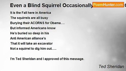 Ted Sheridan - Even a Blind Squirrel Occasionally Finds an ACORN