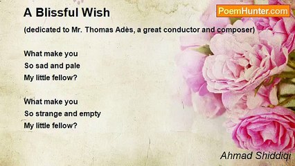 Ahmad Shiddiqi - A Blissful Wish