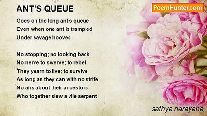 sathya narayana - ANT'S QUEUE
