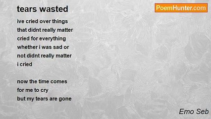 Emo Seb - tears wasted