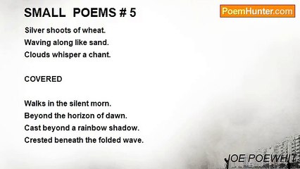 JOE POEWHIT - SMALL  POEMS # 5