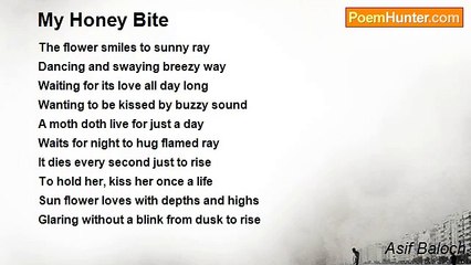 Asif Baloch - My Honey Bite