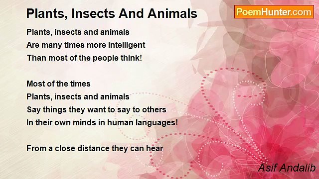 Asif Andalib - Plants, Insects And Animals