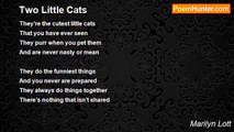 Marilyn Lott - Two Little Cats