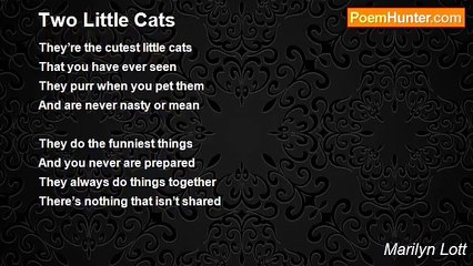 Marilyn Lott - Two Little Cats