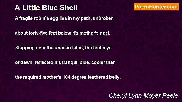 Cheryl Lynn Moyer Peele - A Little Blue Shell