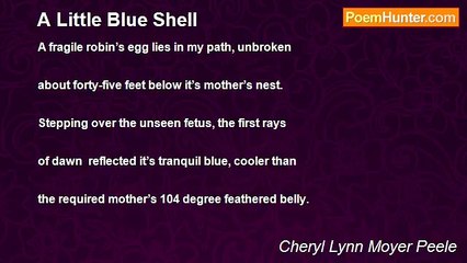 Cheryl Lynn Moyer Peele - A Little Blue Shell