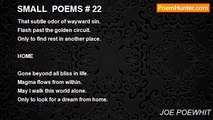 JOE POEWHIT - SMALL  POEMS # 22