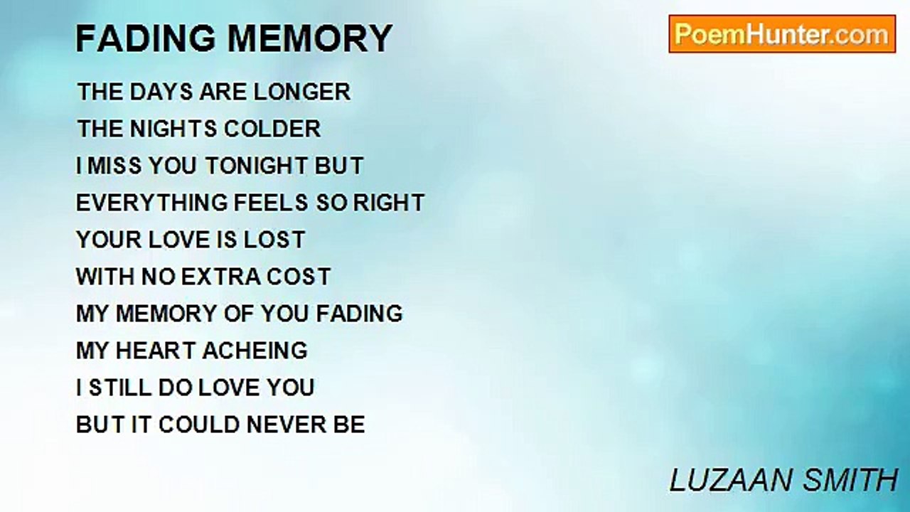 LUZAAN de Bruyn - FADING MEMORY