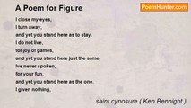 saint cynosure ( Ken Bennight ) - A Poem for Figure