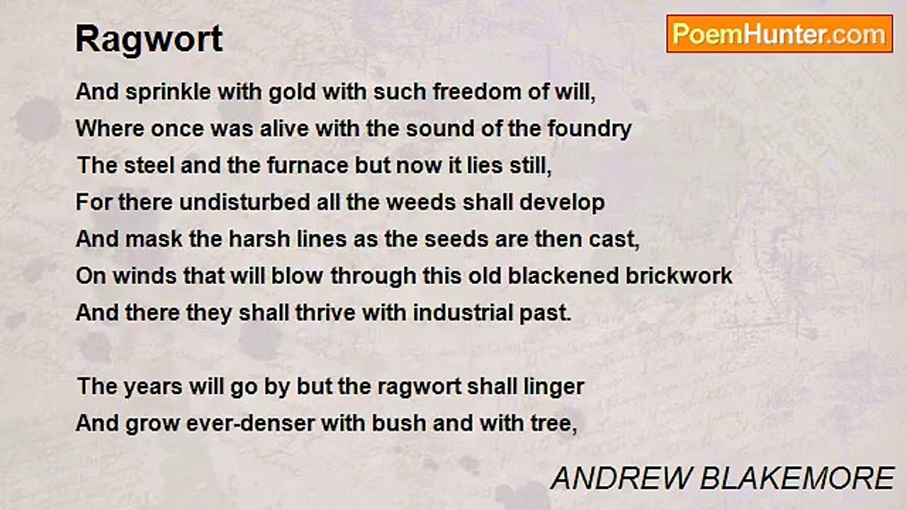 ANDREW BLAKEMORE - Ragwort