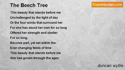 duncan wyllie - The Beech Tree