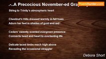 Debora Short - .-..A Precocious November-ed Gray Sky