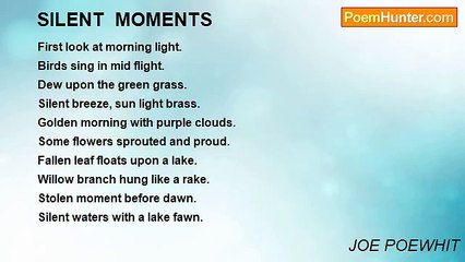 JOE POEWHIT - SILENT  MOMENTS