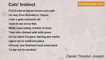 Daniel Trevelyn Joseph - Cats' Instinct