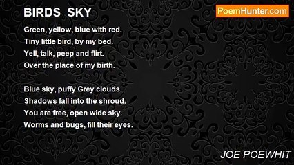 JOE POEWHIT - BIRDS  SKY