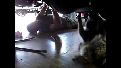 [+18 ~ Sexy Funny Girl]Raccoon Mechanic