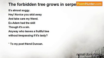 nimal dunuhinga - The forbidden tree grows in serpentine road