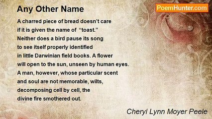 Cheryl Lynn Moyer Peele - Any Other Name