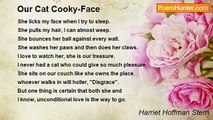 Harriet Hoffman Stern - Our Cat Cooky-Face