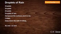 C.H. Seow - Droplets of Rain