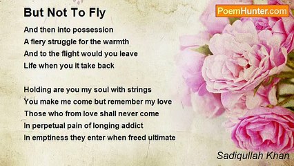 Sadiqullah Khan - But Not To Fly