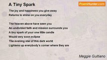 Meggie Gultiano - A Tiny Spark