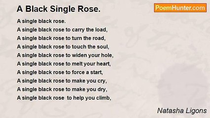 Natasha Ligons - A Black Single Rose.