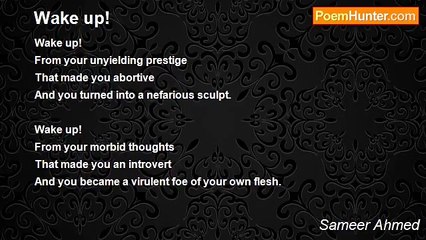 Sameer Ahmed - Wake up!