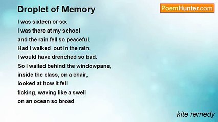kite remedy - Droplet of Memory