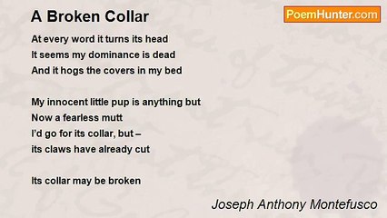 Joseph Anthony Montefusco - A Broken Collar