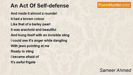 Sameer Ahmed - An Act Of Self-defense